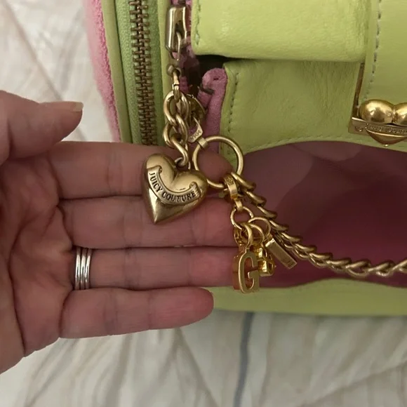 Juicy Couture Pink and Lime Pet Carrier - Picture 13 of 17